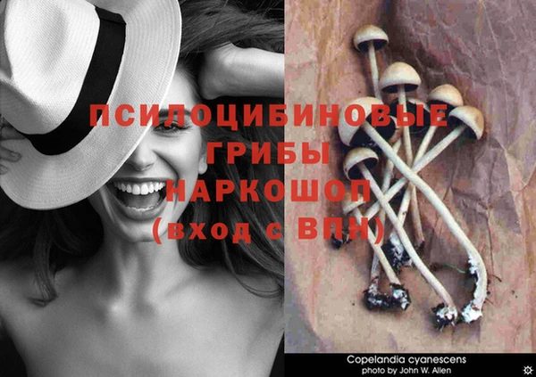 альфа пвп Володарск