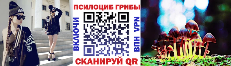 Псилоцибиновые грибы GOLDEN TEACHER  Купить закладки  Ленск 